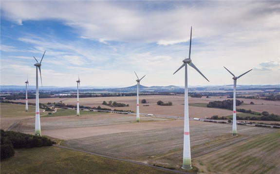 新研究表明风力发电场每年可以杀死成千上万的鸟类