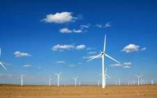 风电场对生态食物链产生级联效应