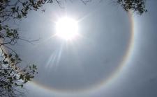 日本亞洲投資，合作伙伴在巖手縣投資2.6兆瓦的光伏電站