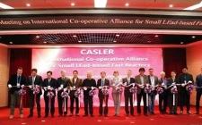 國際小型鉛基堆聯(lián)盟成立大會暨第一屆理事會在中國合肥召開