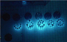 俄羅斯開始在庫爾斯克核電站生產鈷-60