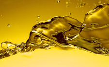 殼牌長北項目開拓長慶鉆井國際視野，擦亮“長鉆品牌”