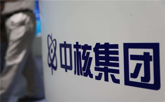 中核集團“龍鱗系統”正式發布   助力“華龍一號”走出國門