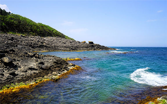 成本上升導(dǎo)致日方認(rèn)為土耳其核電站計(jì)劃已不再可行