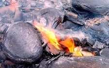 推动中国陆相页岩油革命，中国石油集团召开研讨会