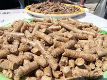 寧夏鼓勵(lì)生物質(zhì)“變身”清潔新熱能