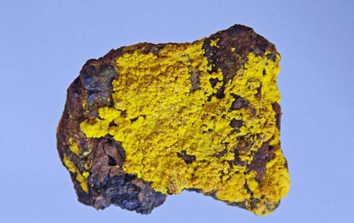 自然資源部：NEA和IAEA聯合發布鈾礦紅皮書