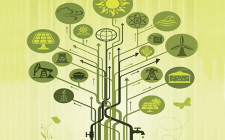 国家能源转型进程，过渡能源在德、美、中国的实践和选择