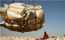 中国11月份从美国进口的液化天然气产量达到历史最高水平 大豆进口量较去年同期下降至零