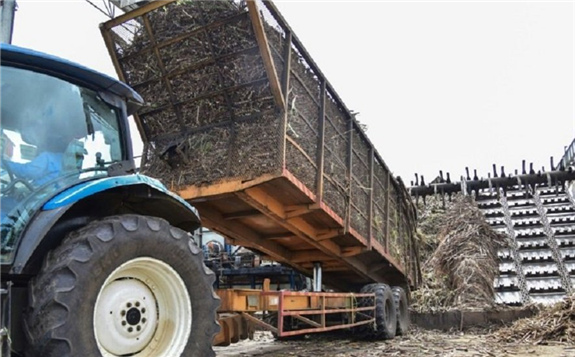 這個(gè)非洲國(guó)家正使用甘蔗發(fā)電來(lái)滿足四分之一的電力需求