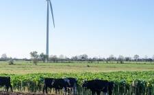 愛爾蘭風能協會（IWEA）調查顯示，對風能的支持正在持續增長