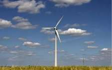 山東招虎山自然保護區(qū)內的風力發(fā)電機共42臺將被依法拆除