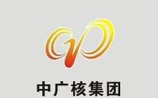 中廣核電力2018年度核電機組總上網電量