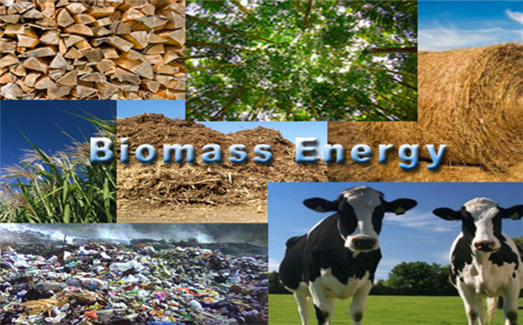 葡萄牙獲得歐盟批準(zhǔn)  支持發(fā)展生物質(zhì)能源計(jì)劃