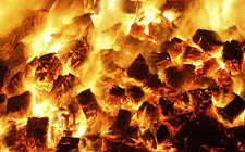 2019年印尼煤炭產(chǎn)量目標(biāo)將下調(diào)至4.8億噸，較上年減少500萬(wàn)噸