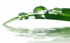 晉煤與法中能源簽署戰(zhàn)略合作協(xié)議，旨在探索氫能技術(shù)與應用