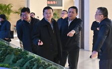 局長章建華帶領調研組赴三峽集團調研