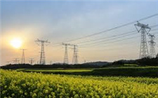 南方能源觀察：電力市場(chǎng)化改革如何渡過深水區(qū)？