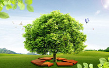 生態(tài)環(huán)境部通報(bào)2019年春節(jié)期間（2月4日-2月5日）空氣質(zhì)量狀況