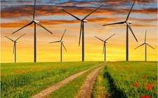 南非140MW Nxuba風電場開工建設