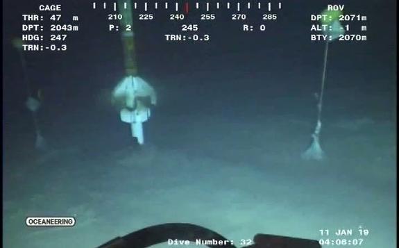 ?？松梨谠谌致匪咕惩獍l現“世界領先”的發現