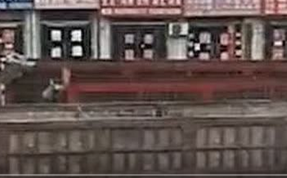 目前神木煤礦徹底“全軍覆沒”關停，包括陜煤三大礦也已停產