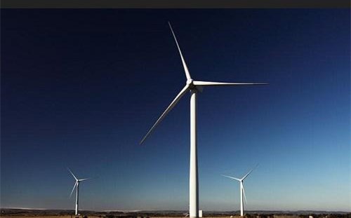 国家林业和草原局规范风电场项目建设林地使用问题