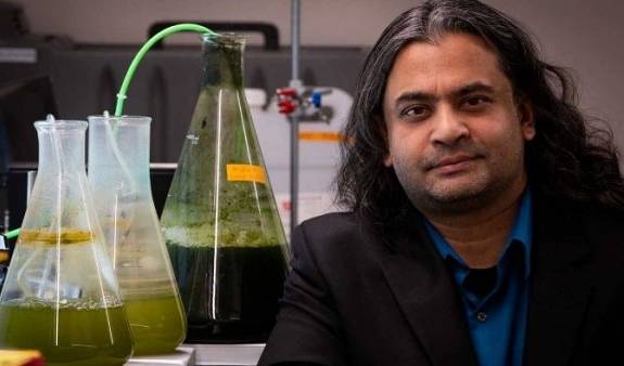 美國猶他大學研究出將藻類轉化為一種生物原油