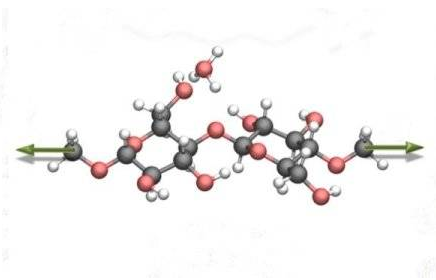納米科學家通過施加機械力轉換生物質
