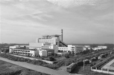 廣東省云浮市環保生物質發電項目