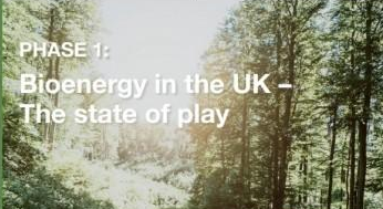 ?英國REA報(bào)告顯示：生物能源是國家可再生能源的領(lǐng)導(dǎo)者  