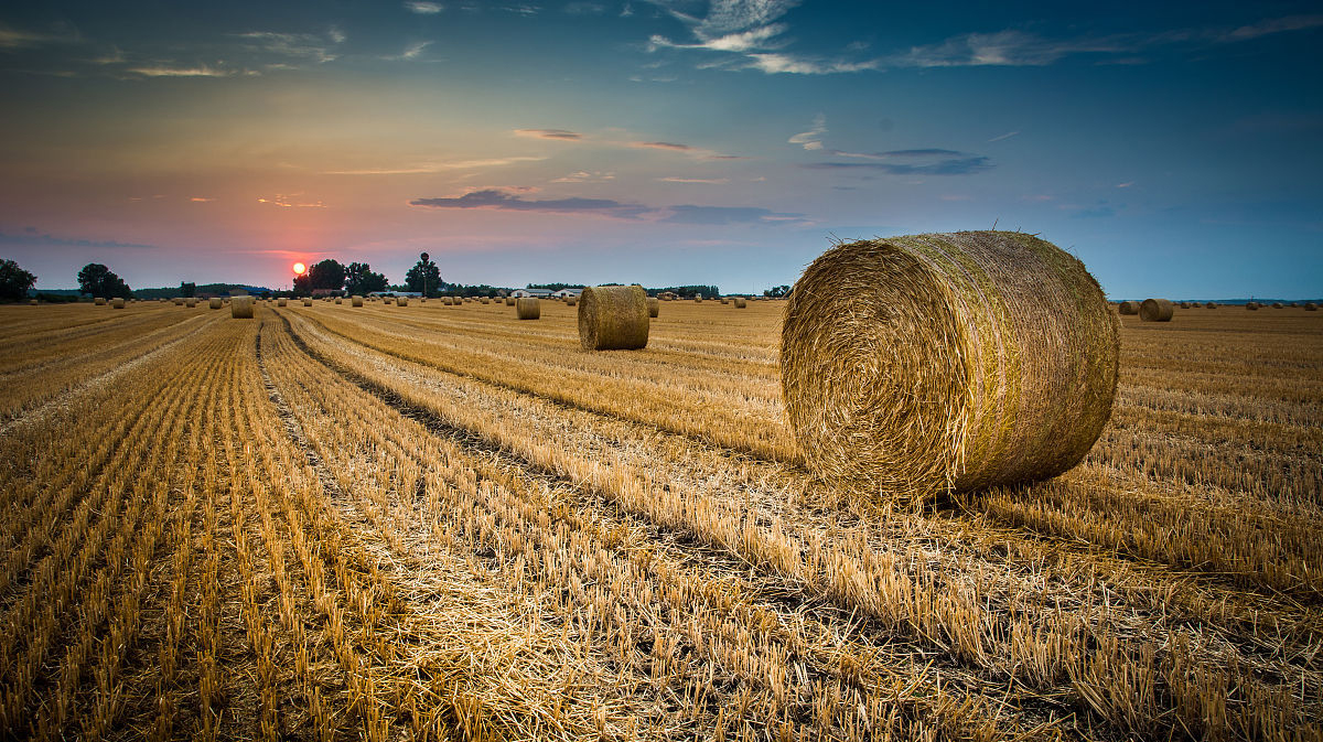 APBE 2019第六屆亞太國際生物質(zhì)能高峰論壇8月15-16日在廣州召開