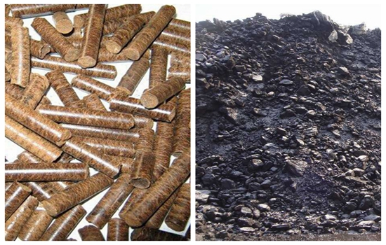 研究探索：生物質與煤炭的組合如何在中國實現負碳發電？