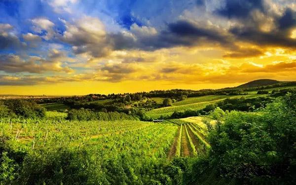 2019一季度我國生物質發電量245億千瓦時  同比增長16.7%