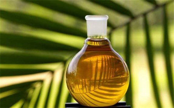 “地溝油”讓上海公交車換“綠”裝