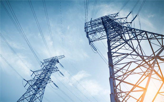 堅強的綠色電網，“冬”風吹來盎然生機