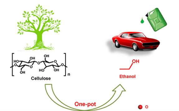 生物質(zhì)催化轉(zhuǎn)化研究新進展：我國首次將纖維素“一鍋”高效轉(zhuǎn)化為乙醇