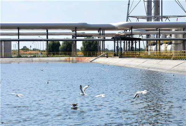 石化化工企業循環水系統存在巨大改進空間