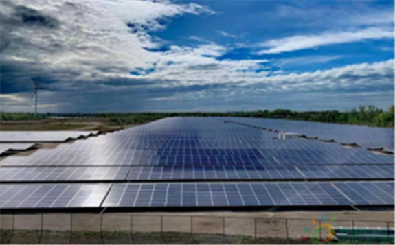 全国第一批光伏平价上网试点项目开标