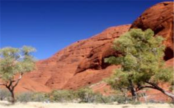 澳洲政府支持全球最大太陽能儲能項目