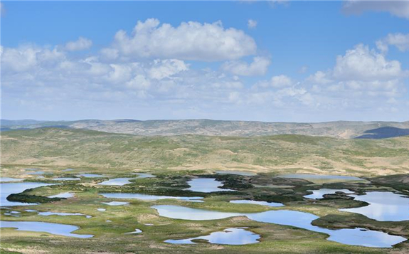 三江源地区破解电网建设与生态环境的世界性难题