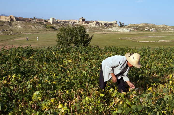 我國農村固體廢棄物的資源綜合利用潛力和潛在效益巨大