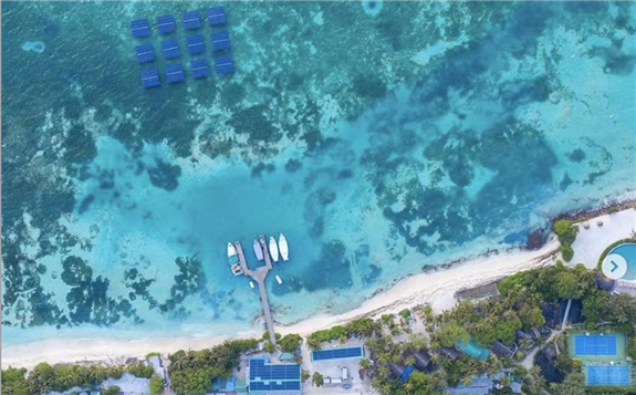 全球最大的漂浮式太阳能发电系统在马尔代夫落成