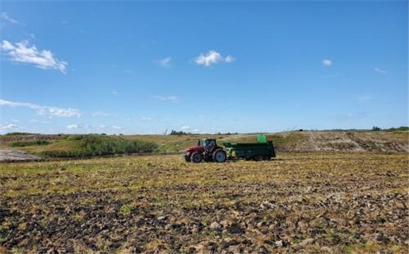 加拿大：煤礦復墾工程以柳條生產生物能源