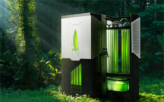 藻類燃料生物反應器吸收二氧化碳的效率比樹木高400倍