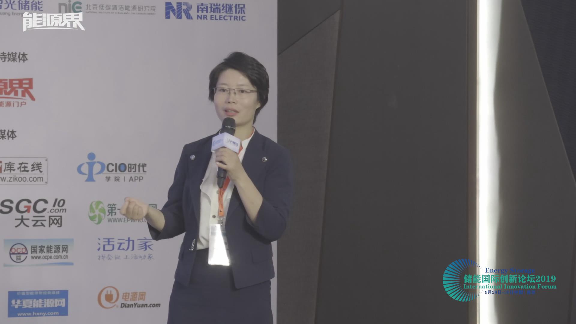 王曉麗：液流電池儲能技術的最新發展及工程應用