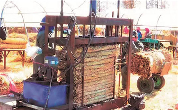 稻草也能成“寶貝”？