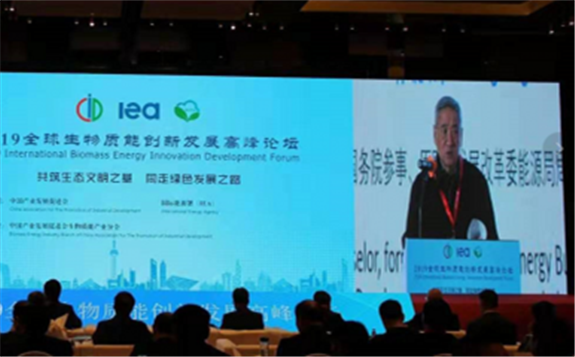 中國未來可再生能源發(fā)展的重要生力軍：生物質(zhì)能