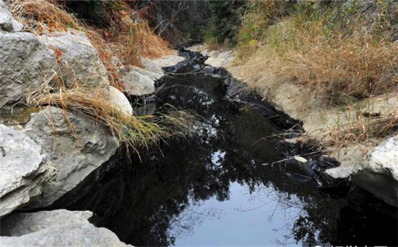 巴西海域的不明石油泄漏引發了大量關注