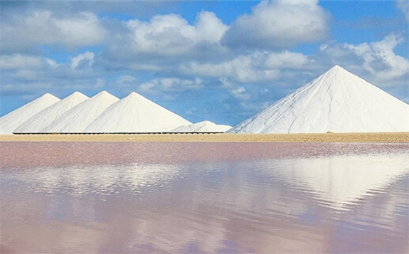 打3.6折無競價 *ST鹽湖資產由198億降到124.6億再次拍賣